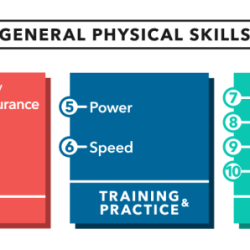 The physical skills review framework