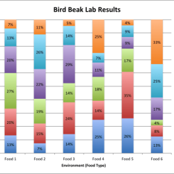 Bird beak adaptation lab answer key