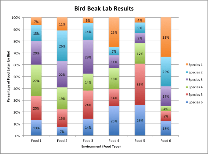 Bird beak adaptation lab answer key