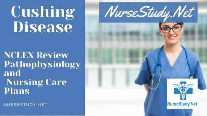 Nursing diagnosis of cushing syndrome