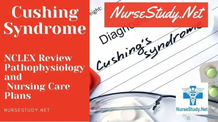 Nursing diagnosis of cushing syndrome