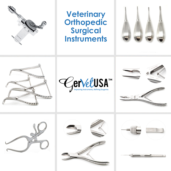 Veterinary surgical instruments pictures and names pdf