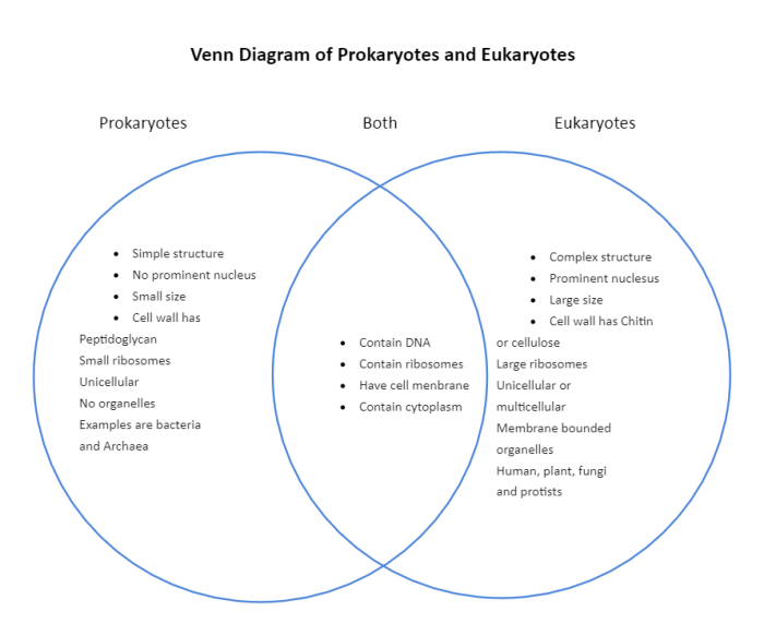 Venn diagram for prokaryotes and eukaryotes